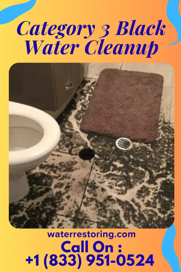 Category 3 Black Water Cleanup in Roann, IN