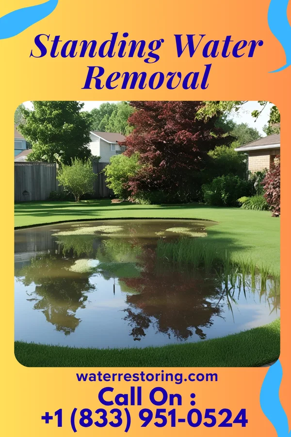 Standing Water Removal in Roann, IN